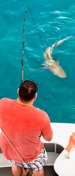 Fishing in Miami Beach, Florida