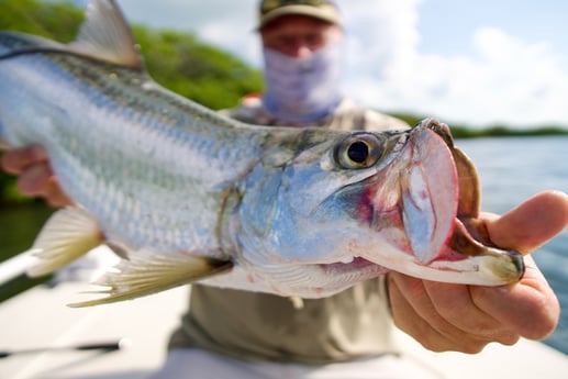 Tarpon Fishing in Islamorada, Florida