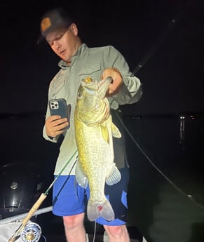 Largemouth Bass Fishing in Graford, Texas