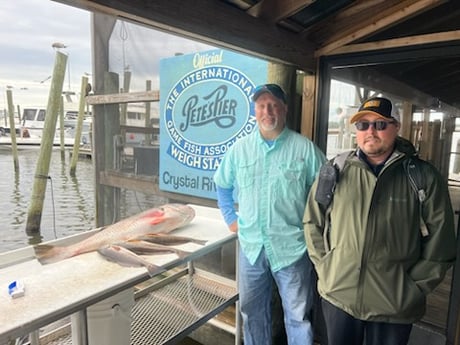 Redfish Fishing in Crystal River, Florida