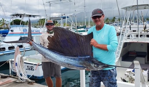 Sailfish fishing in Kalaoa, Hawaii