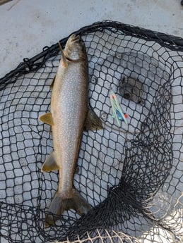 Fishing in Bangor, Maine