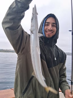 Fishing in Dana Point, California