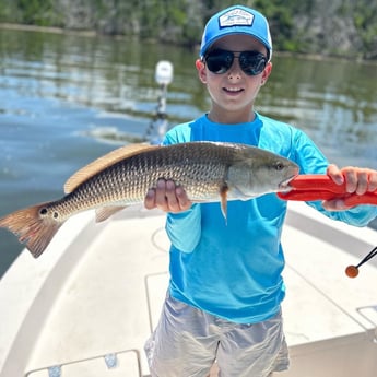 Redfish Fishing in Cape Coral, Florida