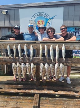Black Drum, Speckled Trout Fishing in