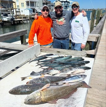 Fishing in Morehead City, North Carolina
