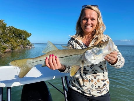 Snook Fishing in Tavernier, Florida