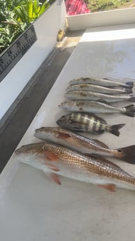 Fishing in Ocala, Florida