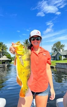 Fishing in Fort Lauderdale, Florida