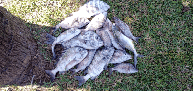 Fishing in Port Charlotte, Florida