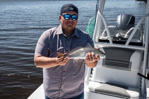 Redfish Fishing in Fort Myers, Florida