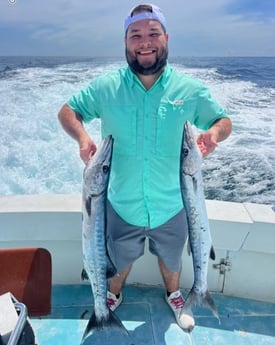 Barracuda Fishing in West Palm Beach, Florida