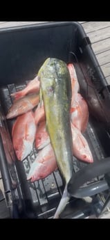 Fishing in Corpus Christi, Texas