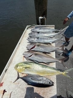 Fishing in Jensen Beach, Florida