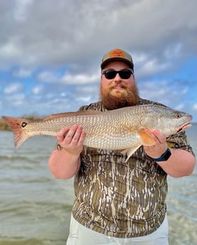 Black Drum fishing in Saint Bernard, Louisiana