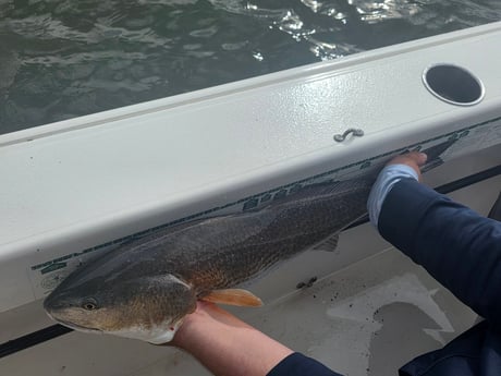 Fishing in Folly Beach, South Carolina