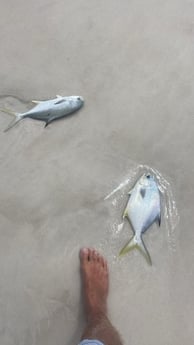 Fishing in Destin, Florida