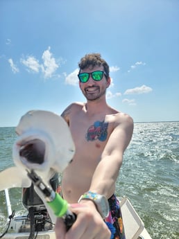 Bonnethead Shark Fishing in St. Petersburg, Florida
