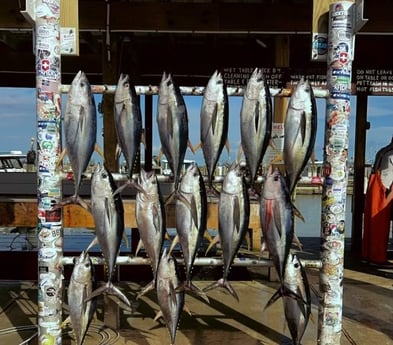 Fishing in Buras, Louisiana