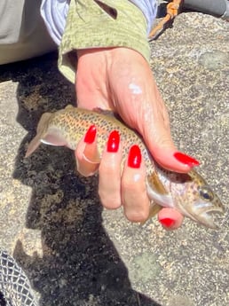 Fishing in Hume, California