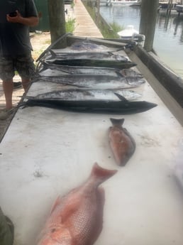 Fishing in Pensacola, Florida