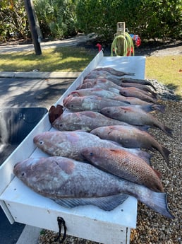 Fishing in Sarasota, Florida