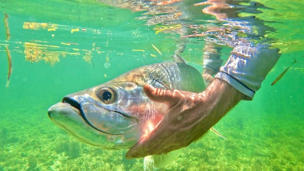 Fishing in Miami, Florida