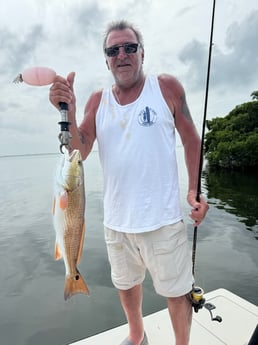 Fishing in Sarasota, Florida