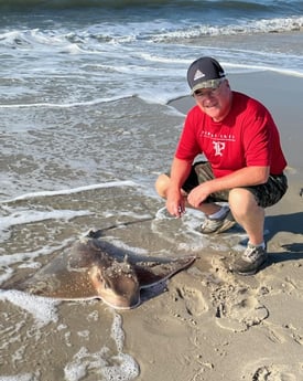 Stingray fishing in Stone Harbor, New Jersey