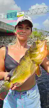 Fishing in Deerfield Beach, Florida