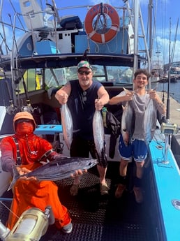 Bonito Fishing in Kapaʻa, Hawaii