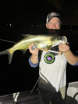 Tarpon Fishing in Jupiter, Florida