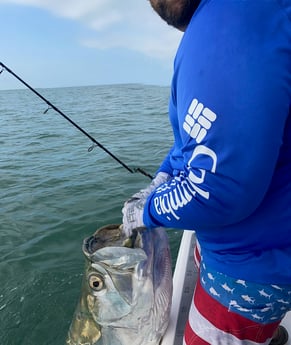 Fishing in Tampa, Florida