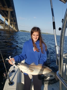 Red Snapper, Triggerfish fishing in Pensacola, Florida