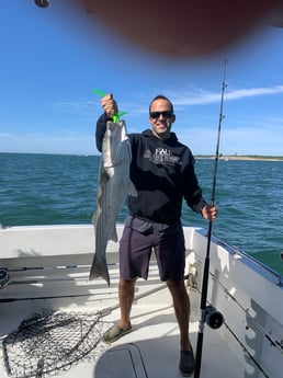 Striped Bass fishing in Montauk, New York