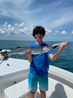 Barracuda fishing in Placida, Florida