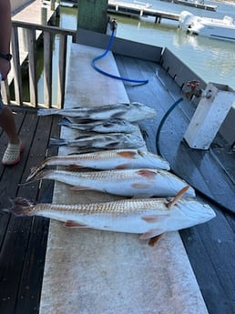 Fishing in Rockport, Texas