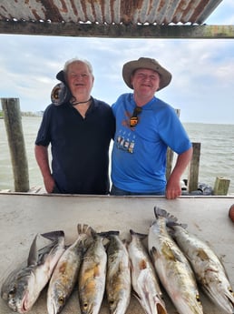 Black Drum fishing in Tiki Island, Texas