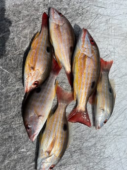 Fishing in Wellington, Florida