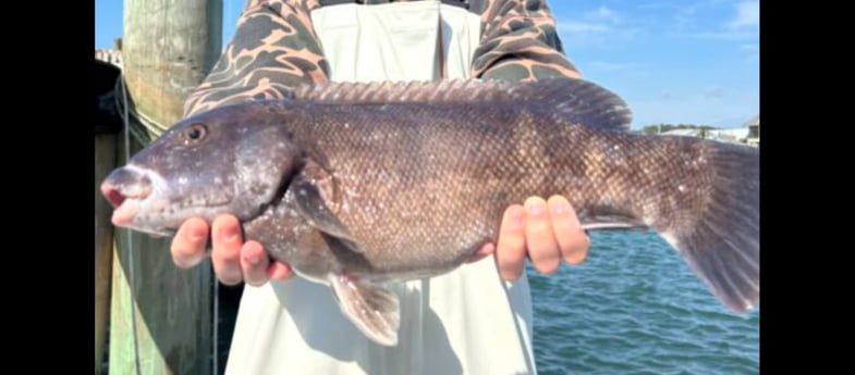 Fishing in Tierra Verde, Florida