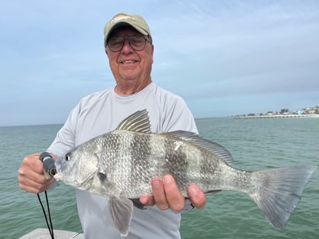 Fishing in Sarasota, Florida