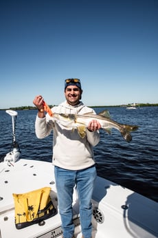 Snook Fishing in Fort Myers, Florida