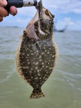 Flounder Fishing in Rio Hondo, Texas