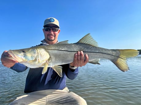 Snook Fishing in Miami, Florida