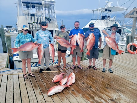 Red Snapper fishing in Dauphin Island, Alabama