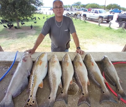 Blue Catfish, Redfish fishing in San Antonio, Texas
