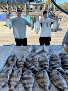 Fishing in Gulf Shores, Alabama