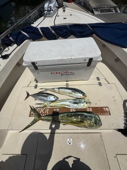 Fishing in Ruskin, Florida