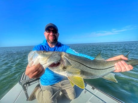Goliath Grouper fishing in Cudjoe Key, Florida