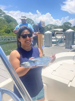 Spanish Mackerel Fishing in St. Petersburg, Florida